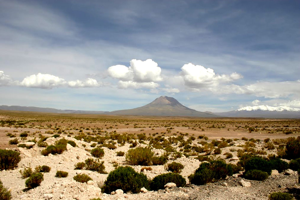 Circuit Norte Grande Chili: parc national de Lauca, lagunes altiplaniques et San Pedro de Atacama