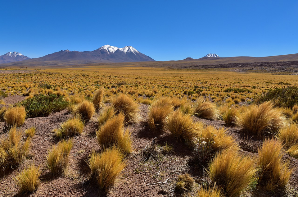 Clima y geografía