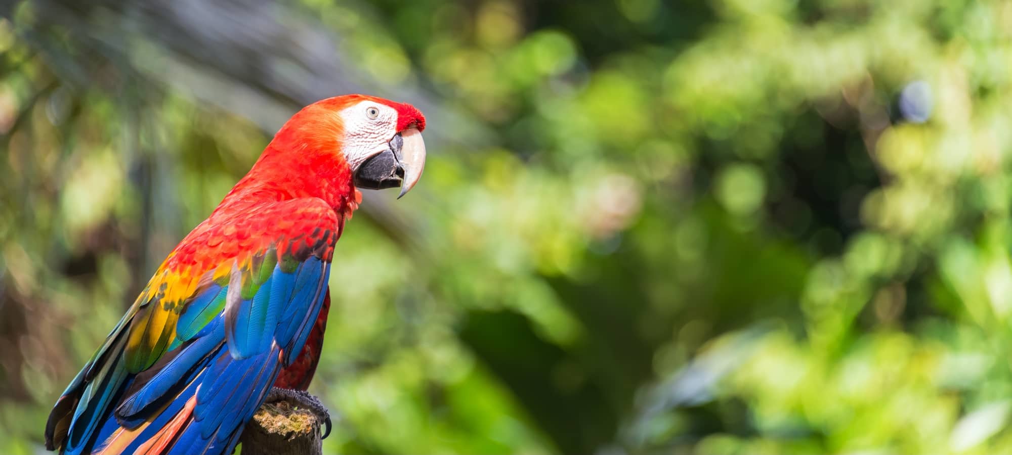 Descubre la maravilla de la flora y fauna que te rodea. 