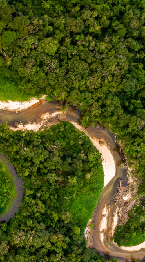 Explora este paraíso natural que te dejará sin aliento. 