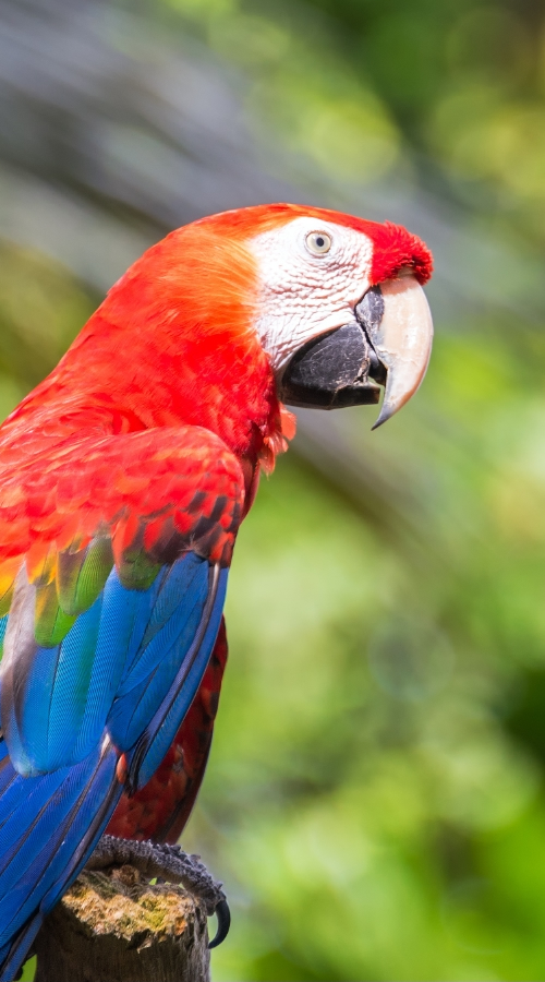 Descubre la maravilla de la flora y fauna que te rodea. 